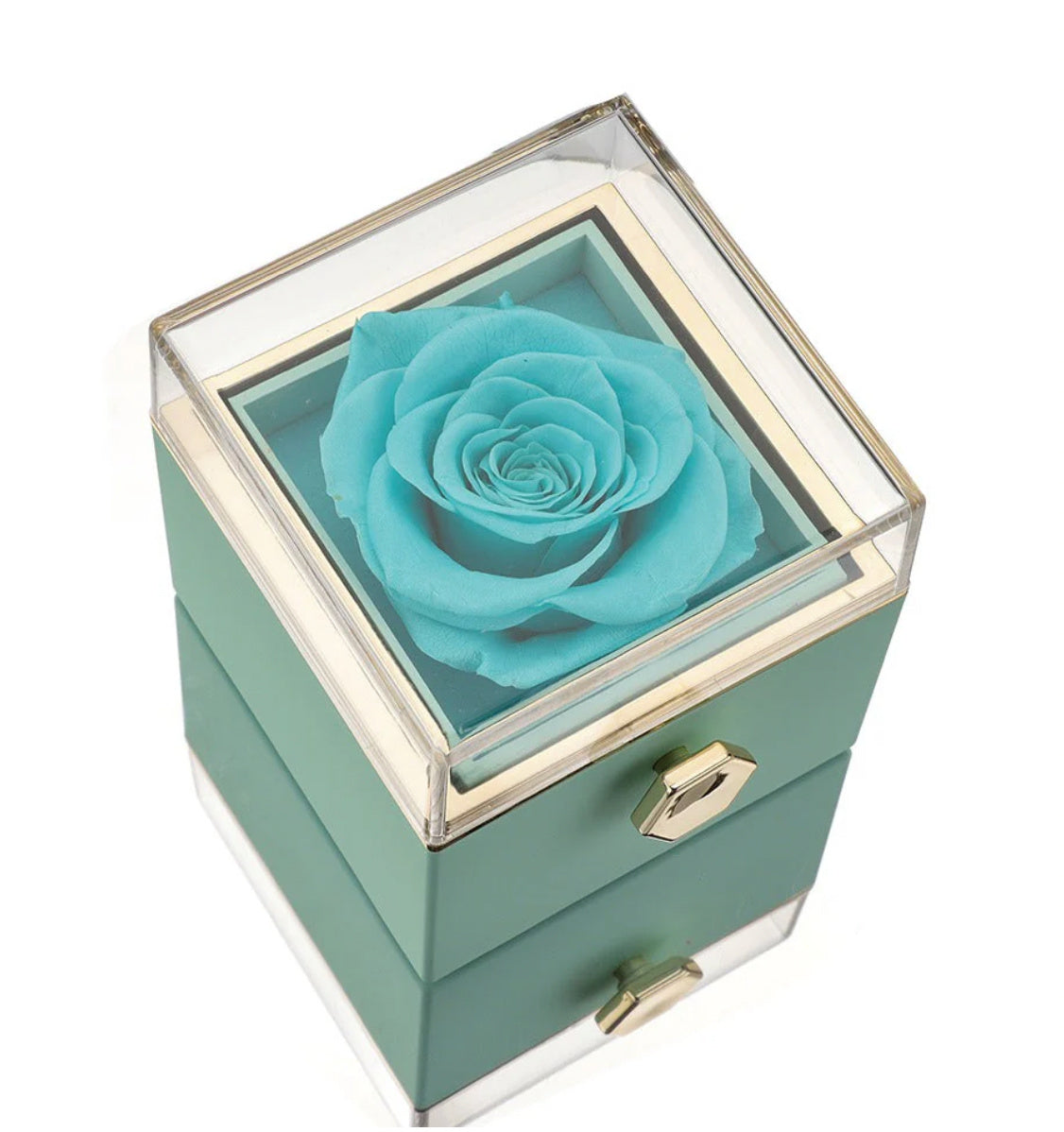 Box Rosa Eterna